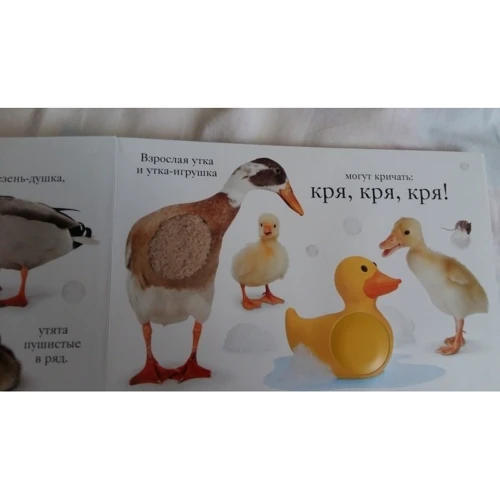 Метью Ван Фліт. хрю: Виробник Махаон