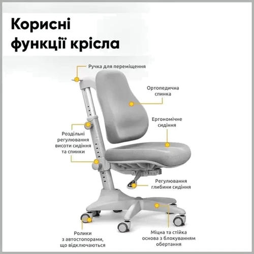 Комплект Evo-Kids Florida Multicolor G+ Mealux Match G (арт. Evo-52 WG+G+Y-528 G)