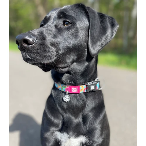 Нашийник Max & Molly Smart ID Collar - Donuts/XS для собак (4894512016194): Призначення Для небольших пород