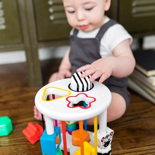 Игрушка-сортер Baby Einstein Zen & Cal’s Playground (12493)