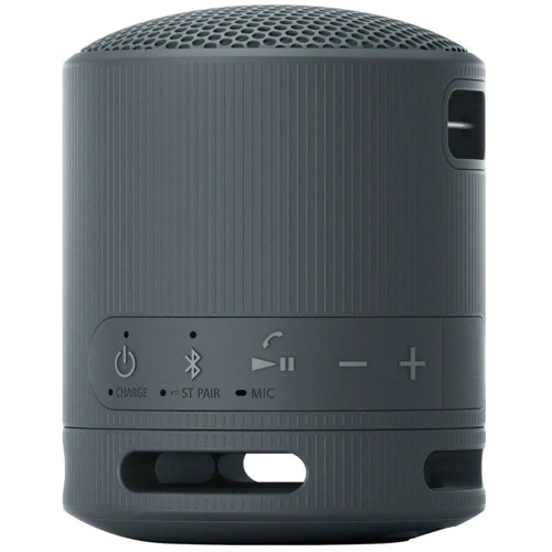 Акустика Sony SRS-XB100 Black (SRSXB100B.CE7): Тип портативная