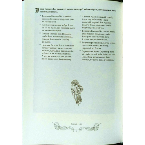 Біблія в гравюрах Гюстава Доре: Количество страниц 488