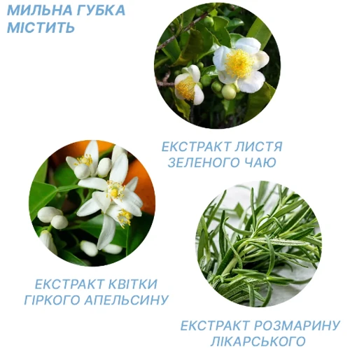 Одноразові мильні губки для душу Estem EveryDay (4820270570067) фото 3