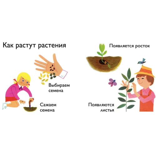 Алан Грэ. Природа: Автор Алан Грэ