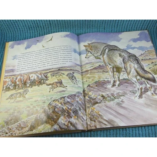 Эрнест Сетон-Томпсон: Лобо: Количество страниц 32