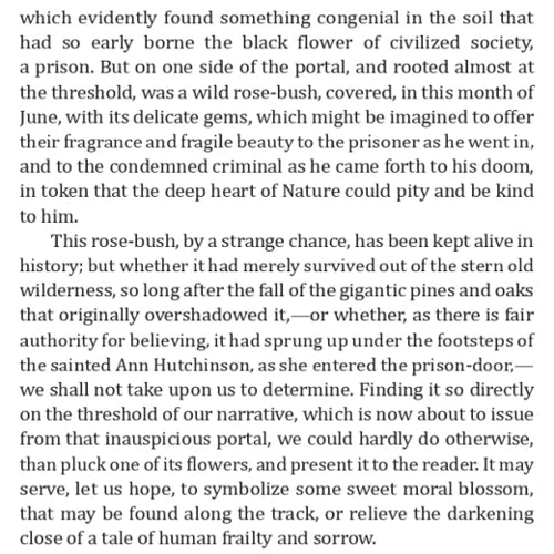 Nathaniel Hawthorne: The Scarlet Letter: Обложка Мягкая