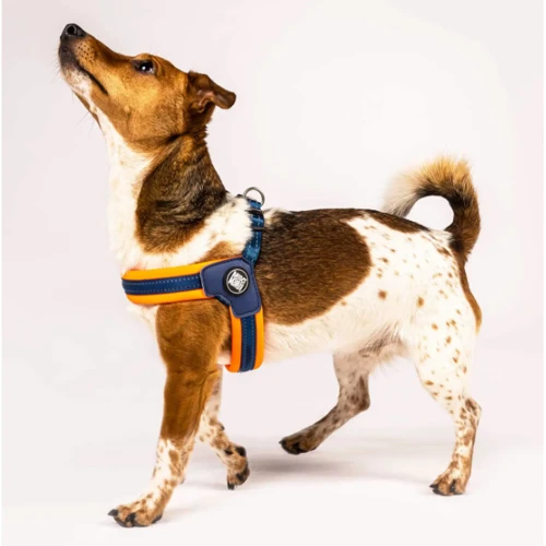 Шлейки для собак Max & Molly Q-Fit Harness - Matrix Orange L (4894512017276) фото 3