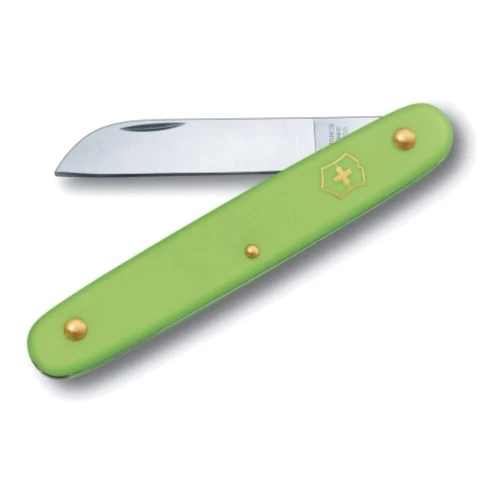 Нож Victorinox Floral 100мм/1 функция/зеленый матовый (3.9050.47B1)