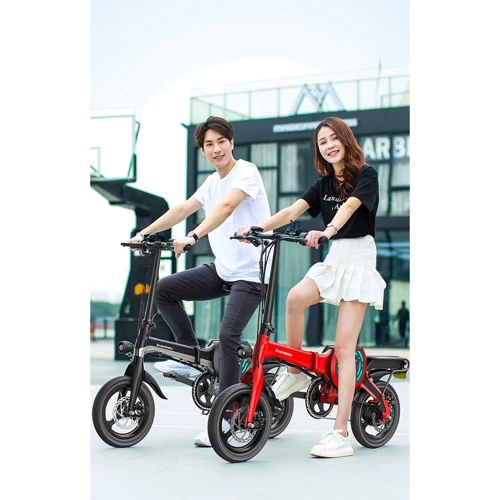 Электровелосипед Zhengbu D8 Matt Series Black: Допустимая нагрузка, кг 125