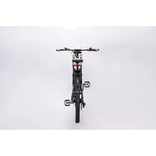 Електровелосипед Bayka E-Motion Tourism 26" motor wheel 25 Ah, з багажником фото 4