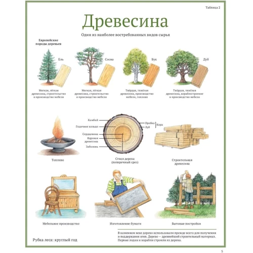 Сюзанна Риха: Сокровища Земли: ISBN 978-5-00100-832-3