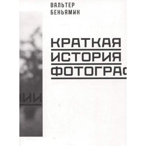 Вальтер Беньямін: Коротка історія фотографії