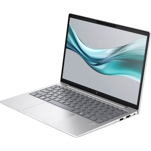 Ноутбук HP EliteBook 630 G11 (A37VPET): Тип экрана матовый