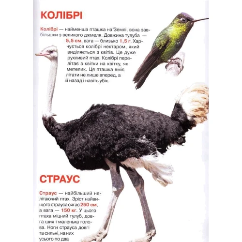 Велика книжка. Птахи: Производитель БАО