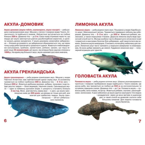 Велика книжка. Акули: Производитель БАО