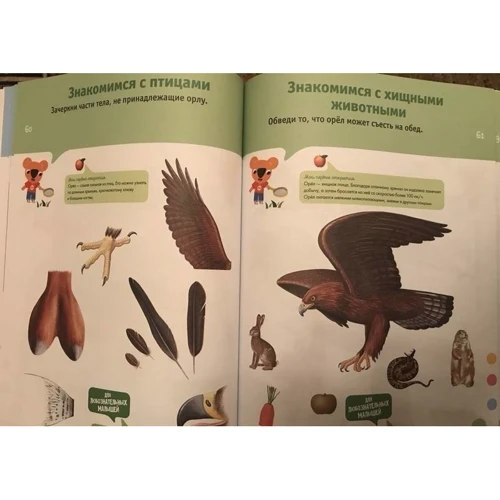 Познаем мир. 5-6 лет (+ наклейки): Количество страниц 80