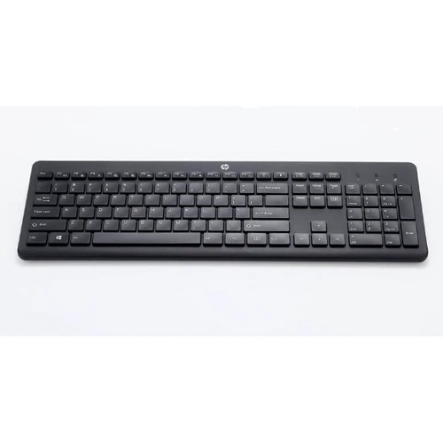 Клавиатура HP 230 WL Black (3L1E7AA): Количество клавиш 107