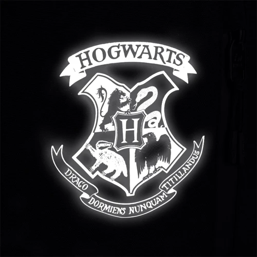 Рюкзак Kite HP25-949 Education Teens 949 Harry Potter фото 15