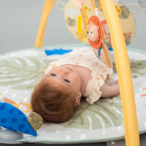 Розвиваючий музичний килимок із дугами колекції Taf Toys "Саванна" - Пригоди на 360°: Особливості ігрові дуги, музичний супровід