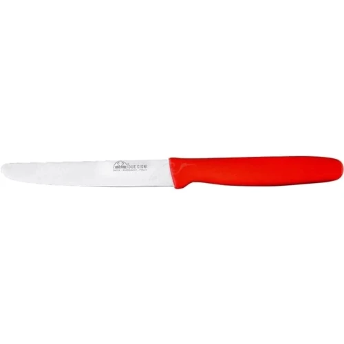 Ніж кухонний Due Cigni Table Knife 110 мм (1904.00.67)