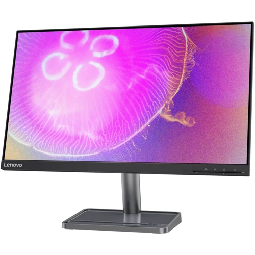 Монитор Lenovo L24Q-35 (66D1GAC1UA): Разрешение Wide Quad HD (2560x1440)