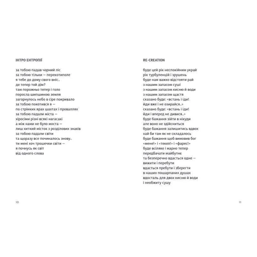 Юрко Іздрик: Інші РЕЧІ: Обкладинка Тверда