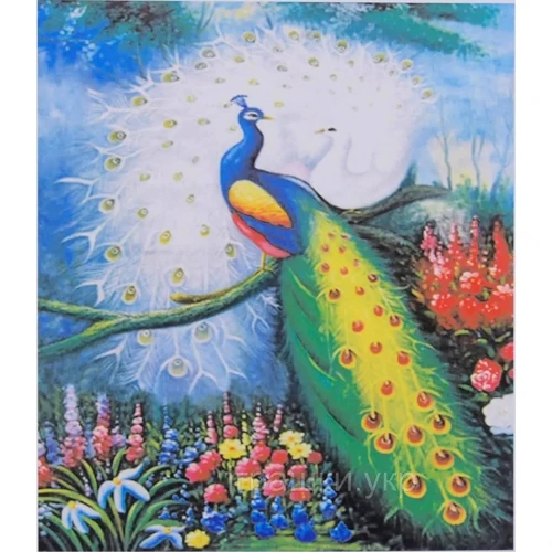 Картина по номерам с алмазной мозаикой TK Group Павлин 50х40 см (YHDGJ 70535)