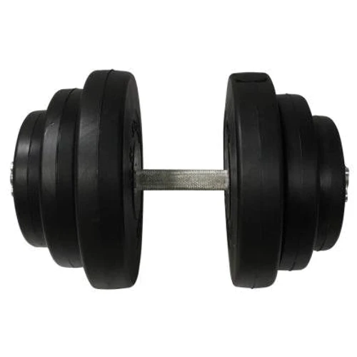 Гантель Newt Rock Pro-R 19.5 кг наборная композитная в пластиковой оболочке (NE-PL-R-019)