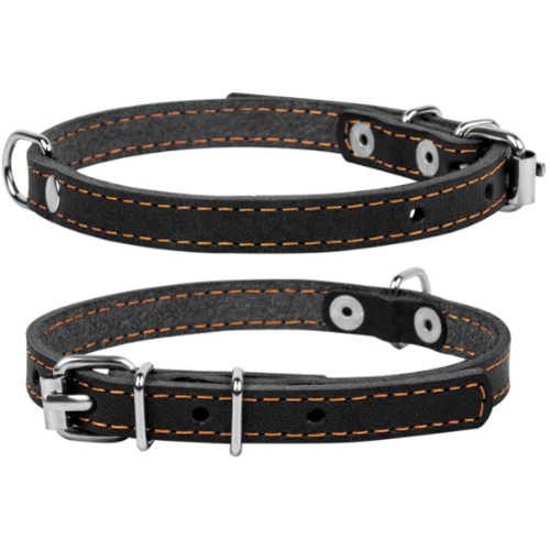 Ошейник Collar 12 мм 24-32 см Черный (4820082491604)