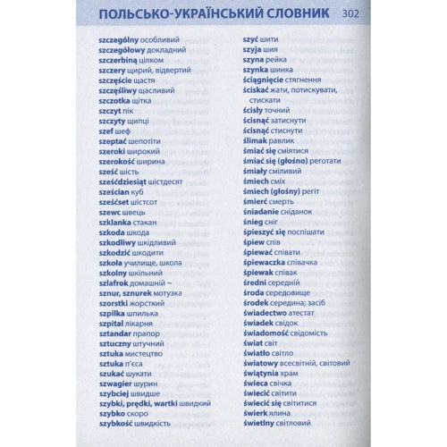 Українсько-польський розмовник і словник: Количество страниц 320
