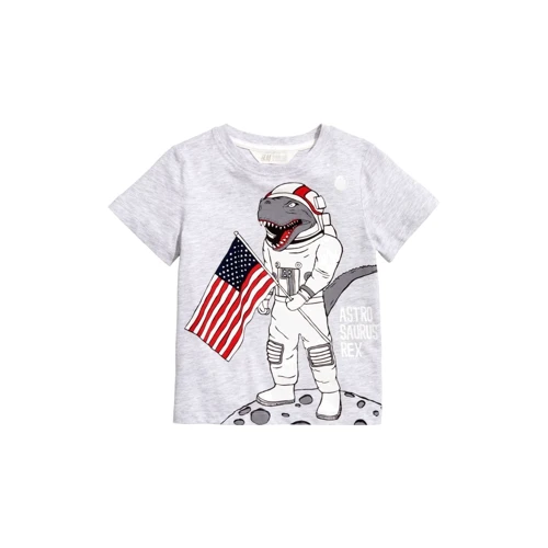 Футболка H & M б5085706 92 см сіра: Стать хлопчик