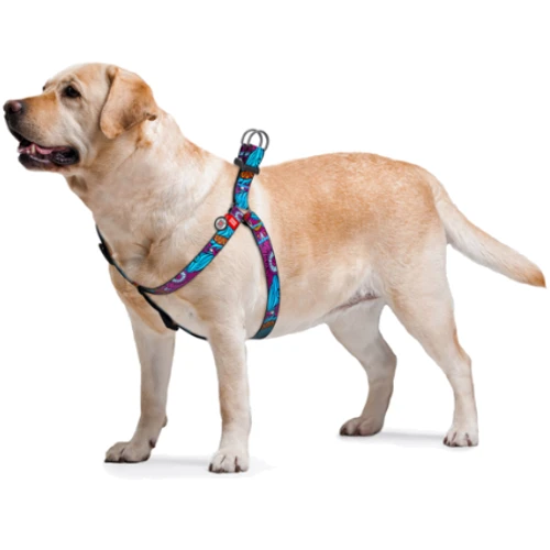 Шлея WAUDOG Nylon з QR-паспортом, малюнок "Літо" 15 мм 40-55 см різнокольоровий (4618) фото 2