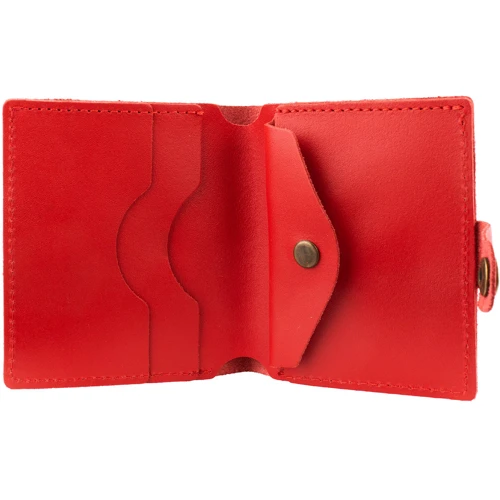 Женский кошелек DNK Leather красный (DNKPURSE-R-VERT col.H): Формат кошелька Вертикальный