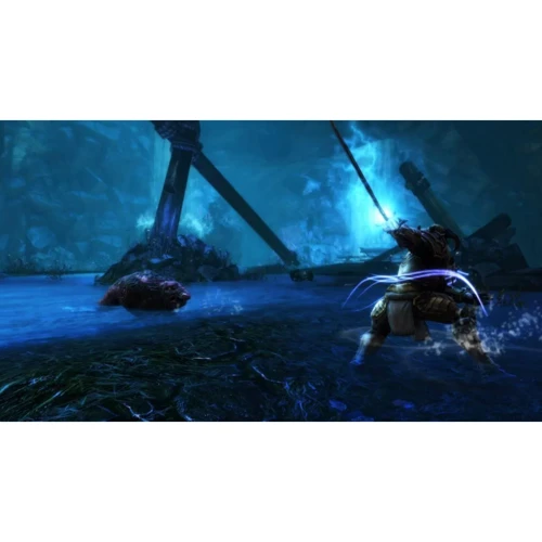 Kingdoms of Amalur Re-Reckoning (PS4) фото 4
