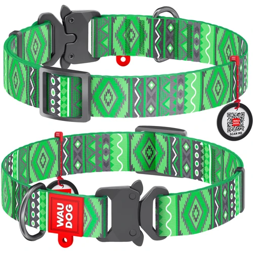 Ошейник WAUDOG Nylon с QR-паспортом, рисунок "Этно зеленый", металлическая пряжка-фастекс 20 мм 24-40 см зеленый (5192)