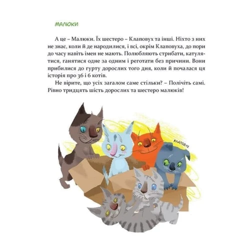 Комплект книг 36 і 6 котів + ​​36 і 6 котів-детектівів фото 7