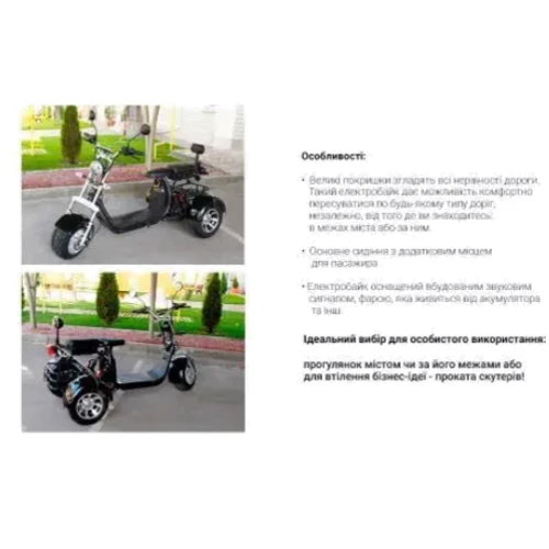 Електроскутер Rooder Citycoco Trio 2000W 60V12Ah Black (00000051809): Допустиме навантаження, кг 200