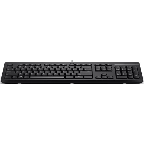 Клавиатура HP 125 Wired Keyboard (266C9AA): Подключение проводное