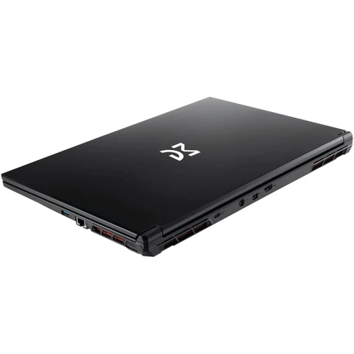 Ноутбук Dream Machines RG4050-17 (RG4050-17UA23) UA: Тип екрану матовый