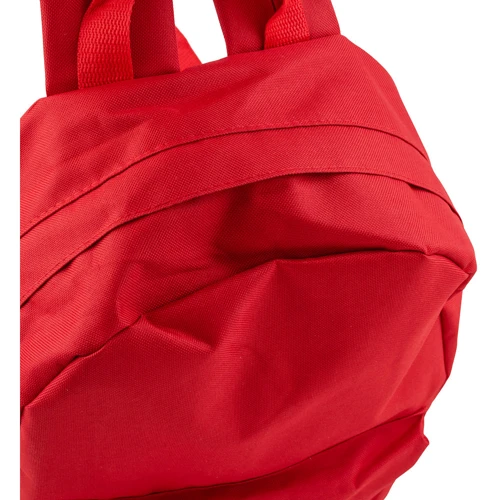 Женский рюкзак Valiria Fashion красный (3DETAR2601-1): Застежка Молния
