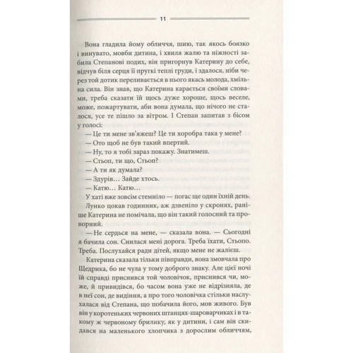 Василь Шкляр: Тінь сови: Количество страниц 304