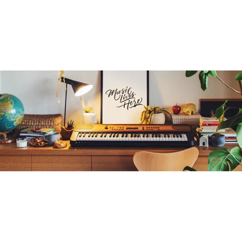 Синтезатор YAMAHA PSR-E360DW (+блок питания): Тип Профессиональные