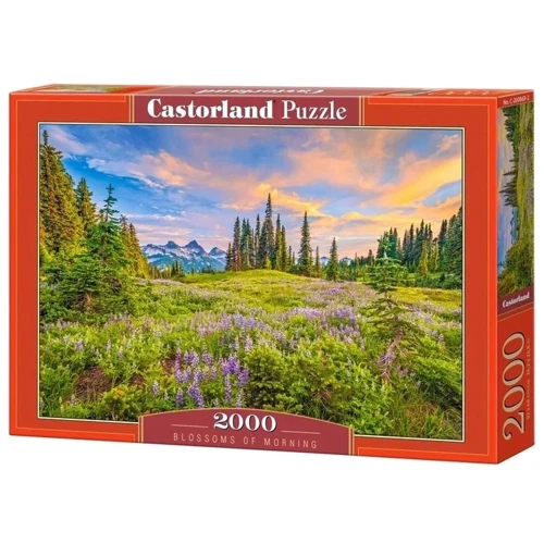 Пазли Castorland Ранкові квіти 2000 елементів (C-200863)