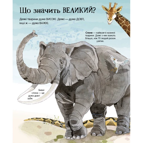 Гейзел Маскелл: Велика книга тварин: Производитель Артбукс