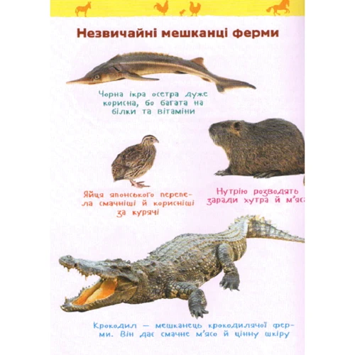 І. Травіна: Тварини ферми. Моя перша енциклопедія: Обложка Твердая