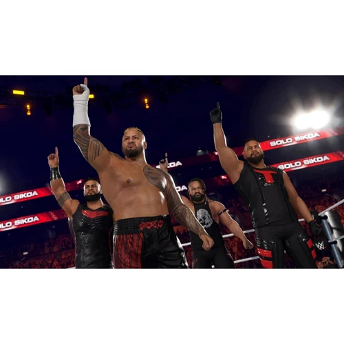 WWE 2K25 PS5 (5026555438544): Жанр Файтинги