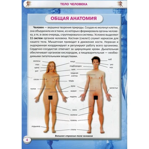 Все о теле человека. 1000 интересных фактов: ISBN 978-966-936-835-5