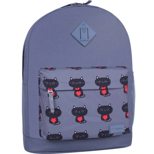 Рюкзак Bagland Молодіжний W / R 17 л. Сірий 750 (00533662)