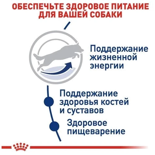 Сухой корм для собак Royal Canin Maxi Adult 5+ крупных пород старше 5 лет 15 кг (3008150): Класс Супер премиум