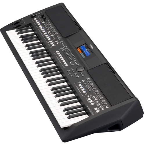 Синтезатор Yamaha PSR-SX600: Тип Розважальні